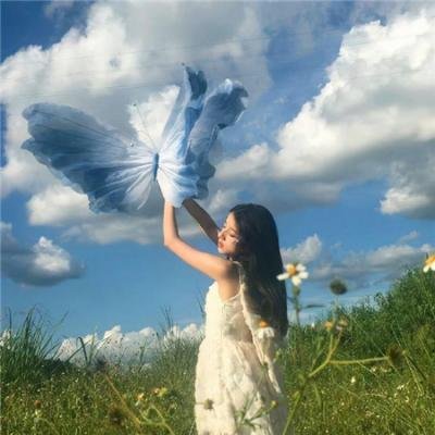 波尼龙的异想世界